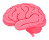 Brain